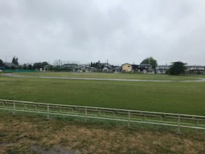 雨の一日