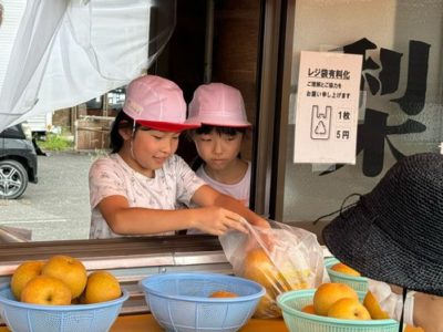 北浦梨を販売しました